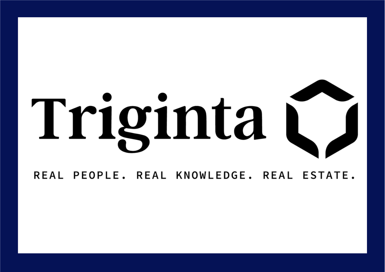 Triginta - BIM Project